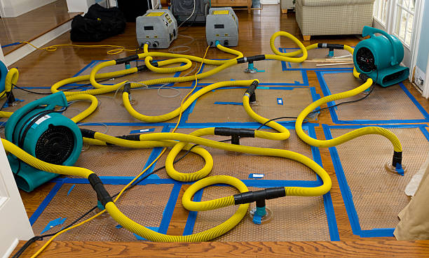 Professional Sewage Cleanup technician working in Grant, MI